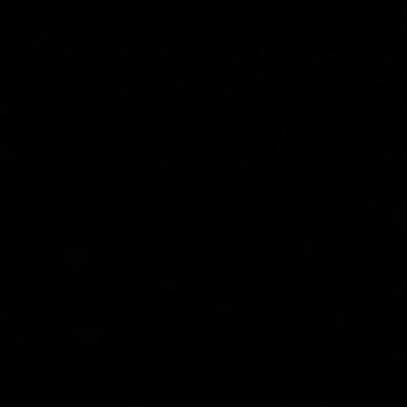 Meet your Posher, Kira - Picture 1 of 1